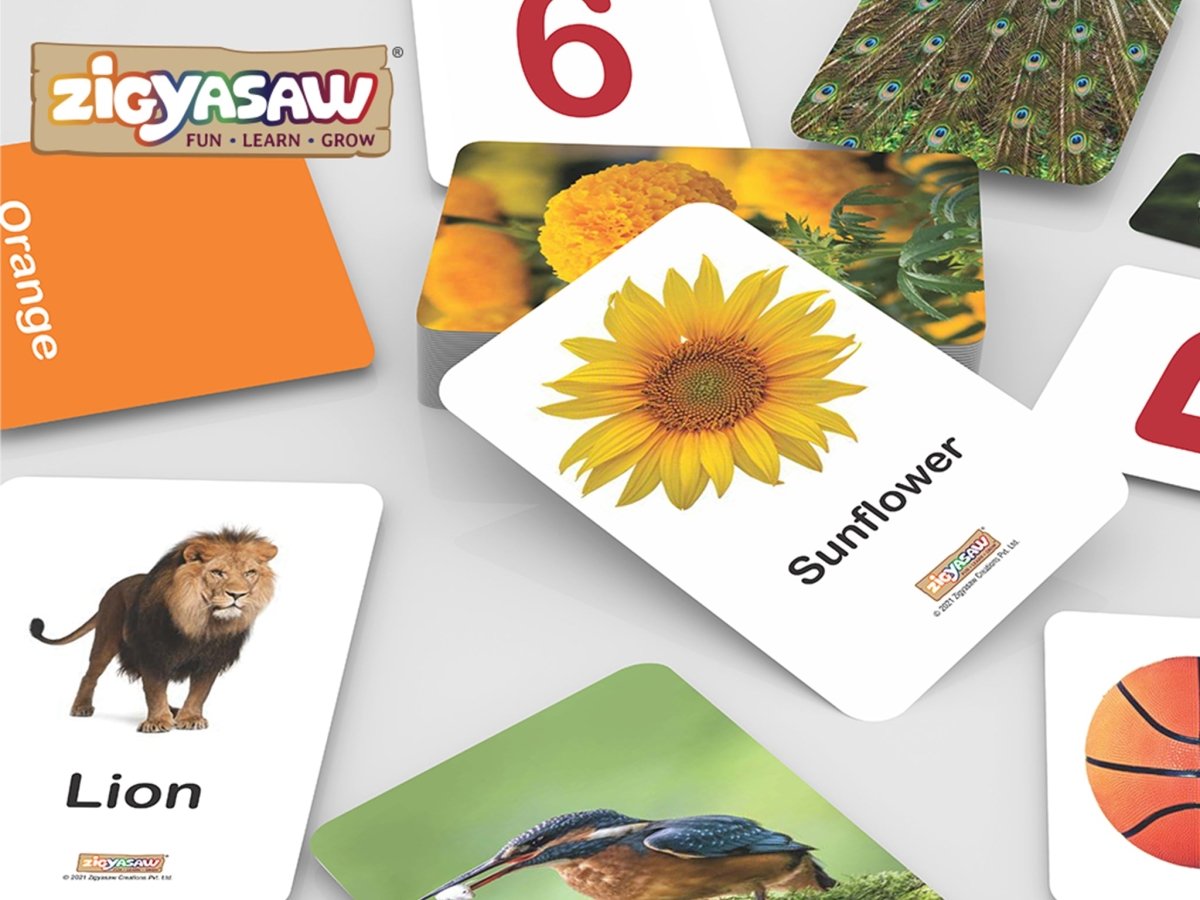 Zigyasaw English essential Mega Combo Flash cards - Zigyasaw
