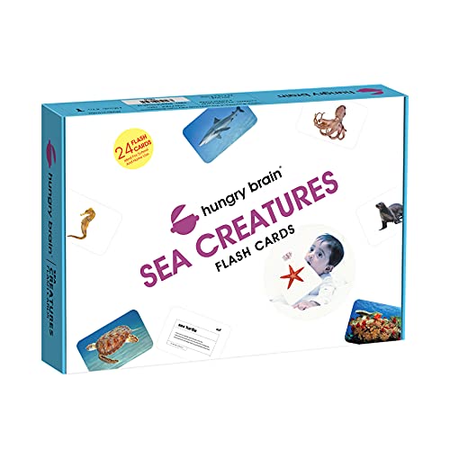 Hungry Brain Sea Creatures Flash Cards for Kids I A5 Size, 24 Flash Cards for Babies 3 Months to 6 Years I Early Learning Material to Develop Attention, Focus and Concentration of Children - Zigyasaw
