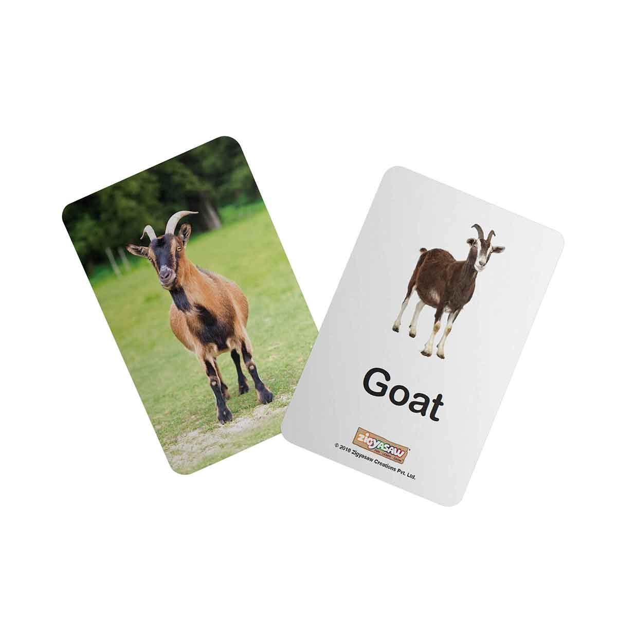 Zigyasaw Farm domestic animals educational flash cards freeshipping - Zigyasaw