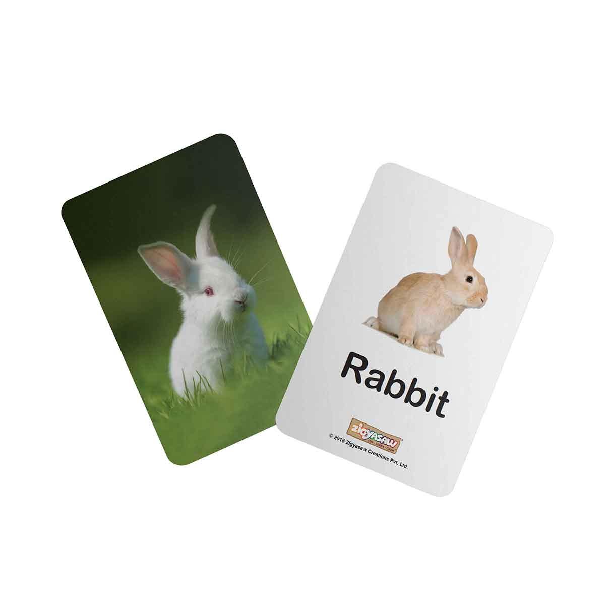 Zigyasaw Farm domestic animals educational flash cards freeshipping - Zigyasaw