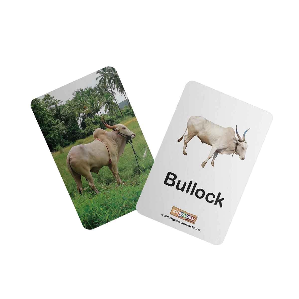 Zigyasaw Farm domestic animals educational flash cards freeshipping - Zigyasaw