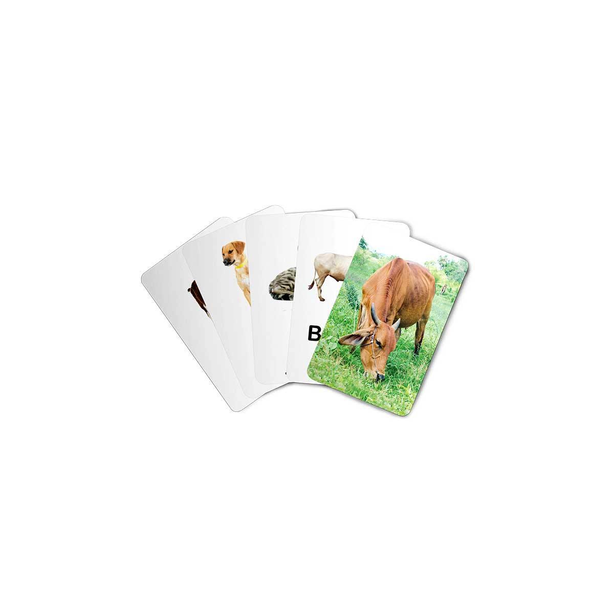 Zigyasaw Farm domestic animals educational flash cards freeshipping - Zigyasaw