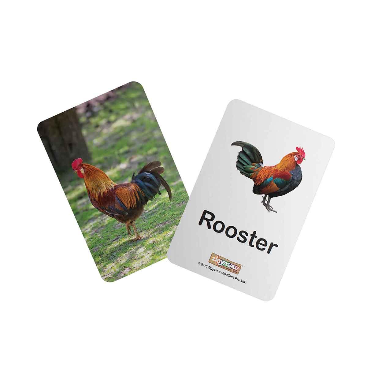 Zigyasaw Farm domestic animals educational flash cards freeshipping - Zigyasaw