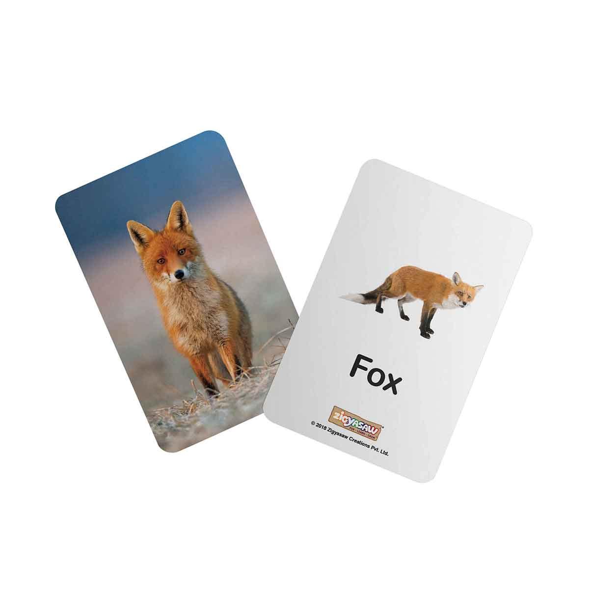 Zigyasaw Wild animals educational flash cards freeshipping - Zigyasaw