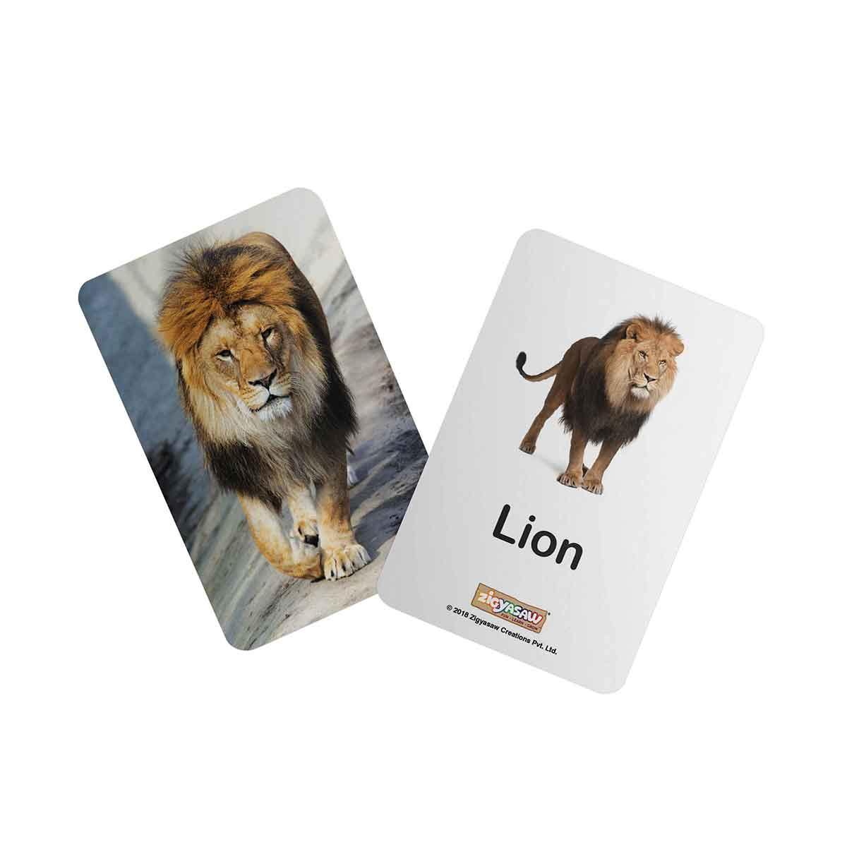 Zigyasaw Wild animals educational flash cards freeshipping - Zigyasaw