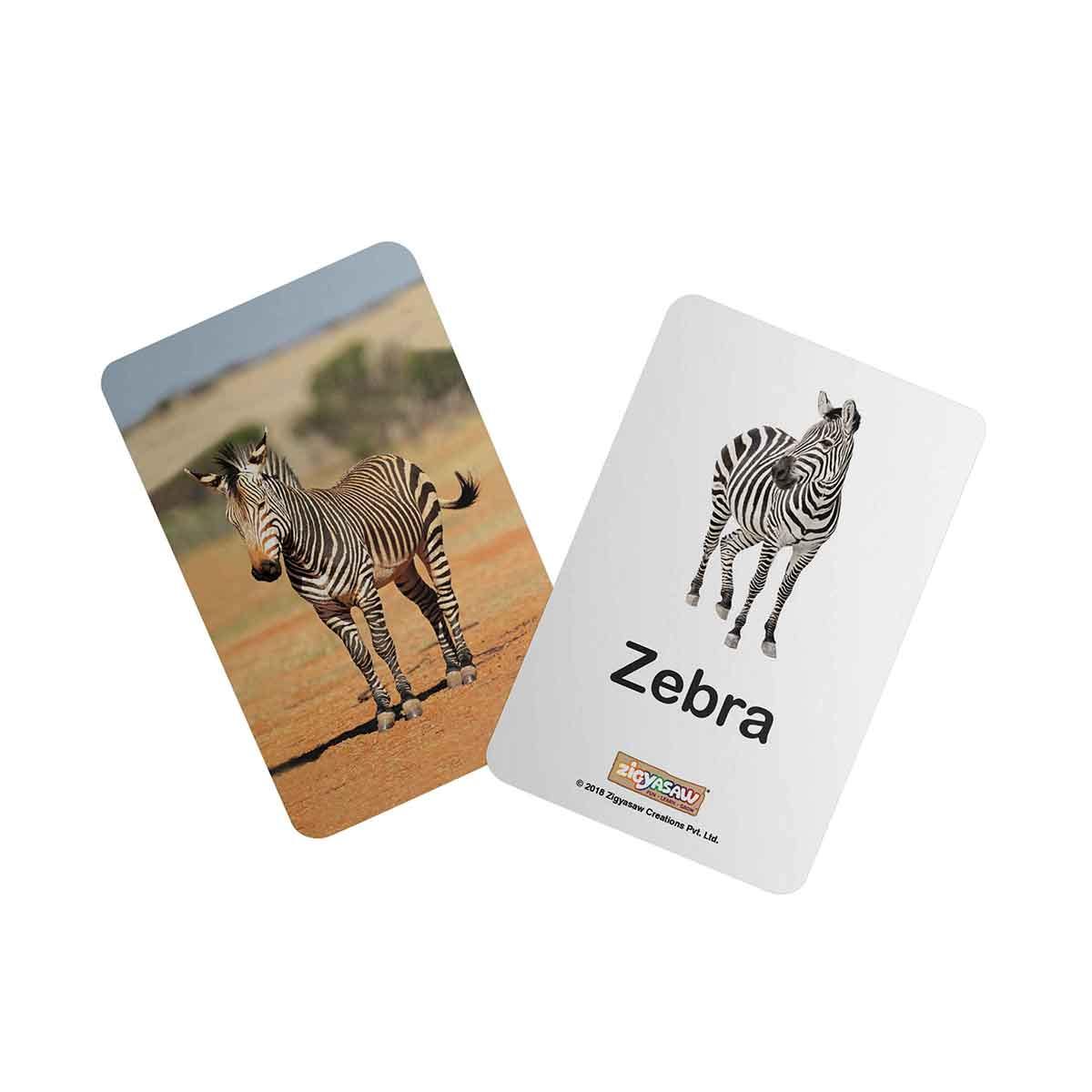 Zigyasaw Wild animals educational flash cards freeshipping - Zigyasaw