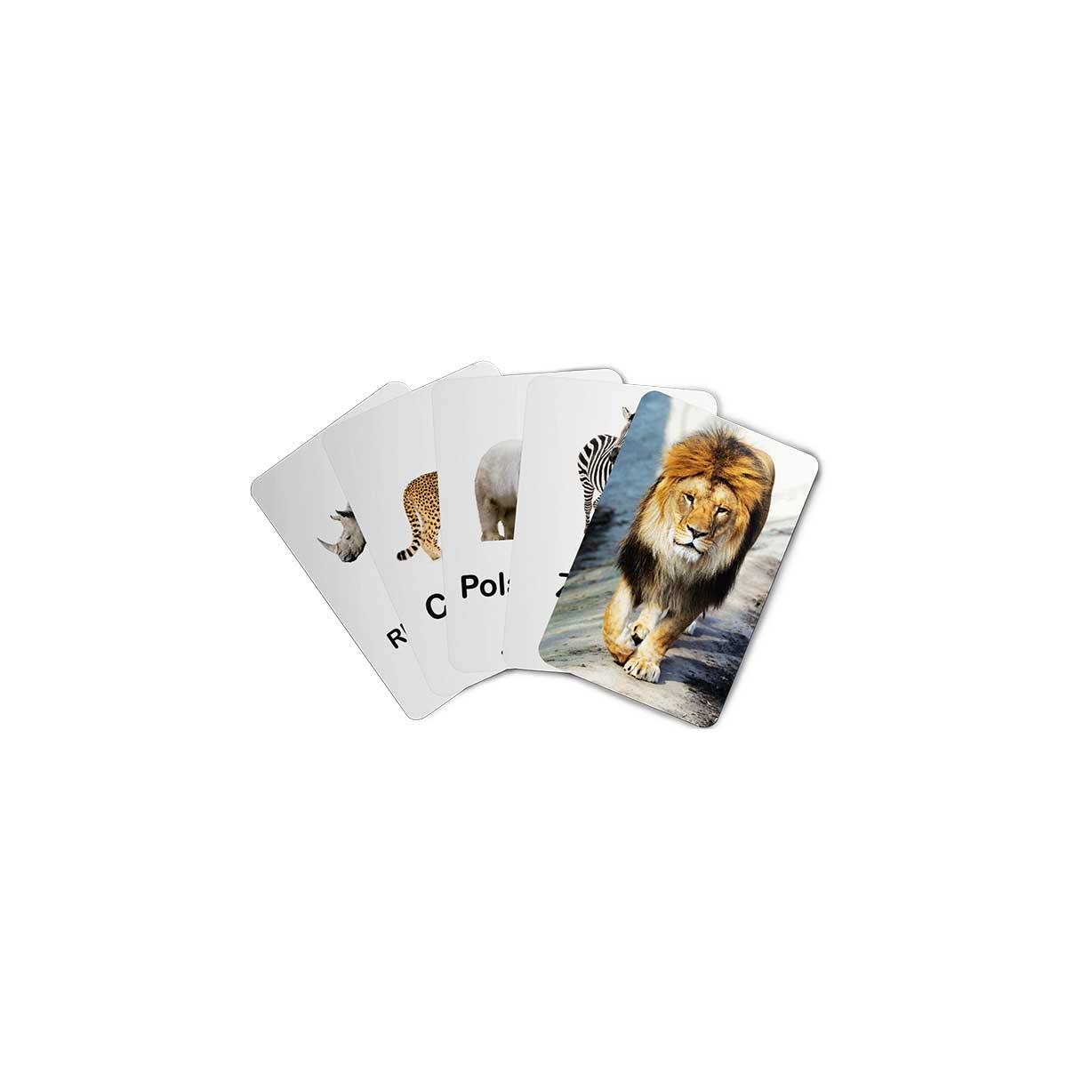 Zigyasaw Wild animals educational flash cards freeshipping - Zigyasaw
