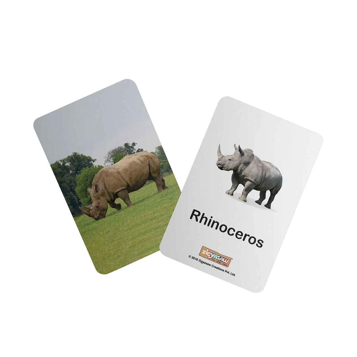 Zigyasaw Wild animals educational flash cards freeshipping - Zigyasaw