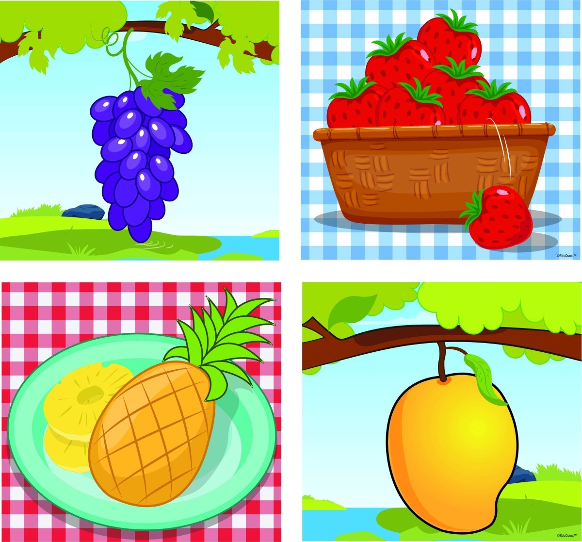 ZZ Eduquest Step Up puzzles combo - Fruits and Vegetables freeshipping - Zigyasaw